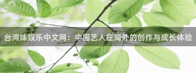 摩根娱乐：台湾妹娱乐中文网：中国艺人在海外的创作与成长体验