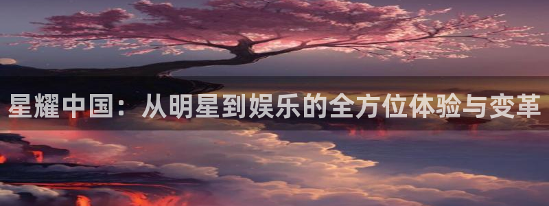 摩根娱乐：星耀中国：从明星到娱乐的全方位体验与变革