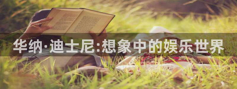摩根娱乐：华纳·迪士尼:想象中的娱乐世界